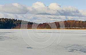 Frozen lake and forest on a sunny day