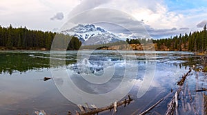 Frozen Lake Ice Driftwood Mountain Peak Reflection Scenic Sunset Sky Banff National Park Canadian Rockies