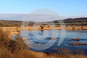 Frozen lake at Leighton Moss RSPB nature reserve