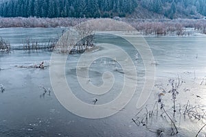 Frozen lake with lifeless vegetation at wintertime