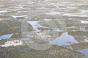 Frozen Lake in Minnesota