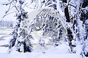 Frozen Lake Oder in Snow