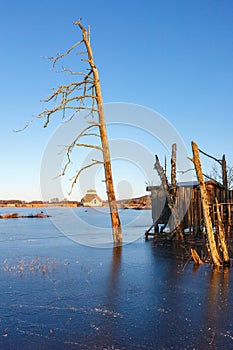 Frozen lake with an old tree snag