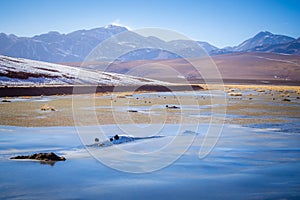 Frozen lake in San pedro de Atacama