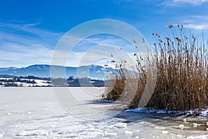 Frozen Lake Simssee and Reeds in front of Snowy Mountains in Bavaria, Germany
