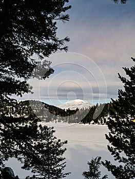 Frozen lake with a snow covered mountain peak and pine trees, at Turracher HÃ¶he
