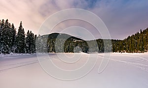 Frozen lake in snowy forest