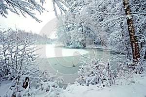 A frozen lake in a snowy winter forest.