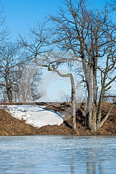 Frozen lake in the spring. spring ice