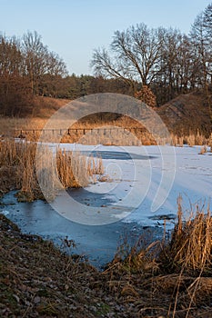 frozen lake surrounded by tall reeds