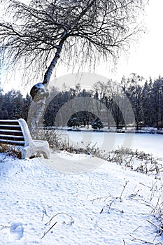 The frozen lake. Winter landscape