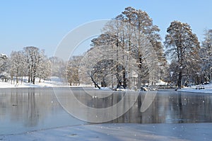 A Frozen Lake in a Winter Landscape