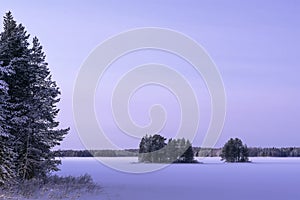 Frozen lake in winter in the snow