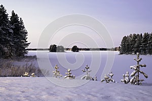 Frozen lake in winter in the snow