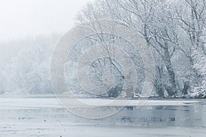 Frozen lake in winter, Winter lake scene