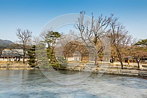 Frozen lake and withered tree and Korean wooden traditional house in Gyeongbokgung,  also known as Gyeongbokgung Palace or