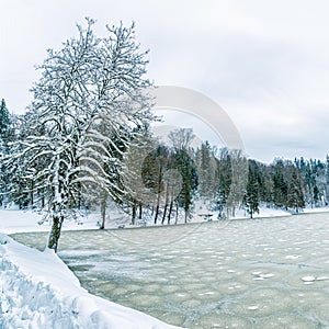 Frozen lake in Zagorje, Croatia