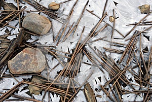 Frozen lakeshore with reeds and stones