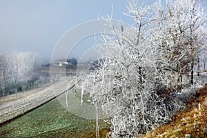 Frozen landscape in Piedmont during winter photo