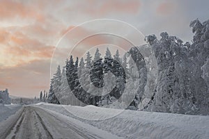 Frozen landscape,winter,in swedish Lapland photo