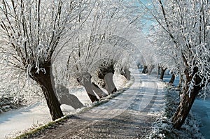 Frozen lane with hoarfrost
