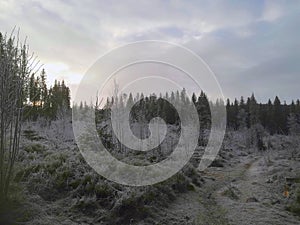 A frozen lanscape in Nordmarka