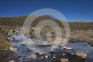 Frozen in Lauca National Park in Chile photo