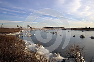 Frozen Marsh