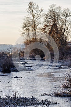 Frozen Marsh Inlet