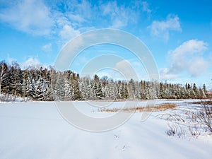 Frozen Marsh Land