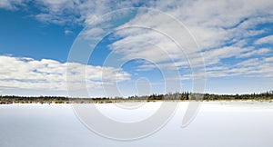 Frozen Marsh Land In Winter