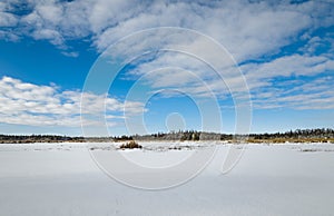 Frozen Marsh Land In Winter