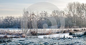 Frozen marsh lands in a winter landscape