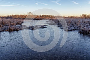 Frozen Marsh Pond