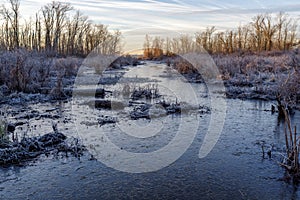 Frozen Marsh Stream