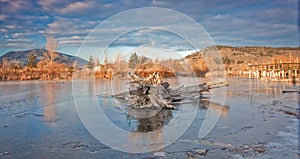 Frozen Marshes