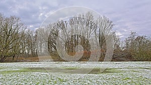 Frozen meadow and  bare trees on a cloudy winter day in the Flemish countryside