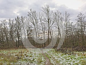 Frozen meadow with hiking trail and  bare trees in the Flemish countryside