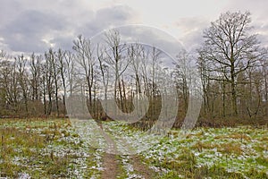 Frozen meadow with hiking trail and  bare trees in the Flemish countryside
