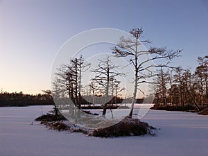 Frozen moorland lake with small tree-covered islands with long shadows on the snow on sunny winter day