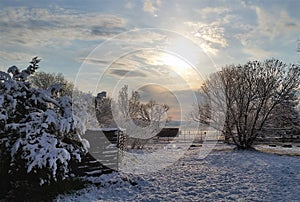 Frozen morning in the garden, France