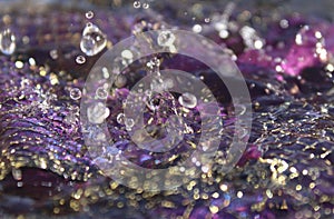 Frozen movement of water. Drops of water falling and splashing. Sparkles, reflections of light.