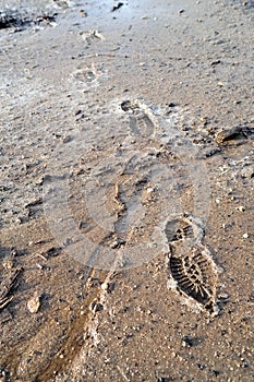 Frozen Mud And Boot Prints