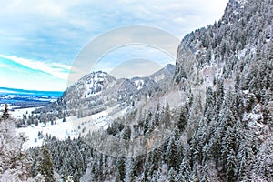 Frozen Nature in Bavaria