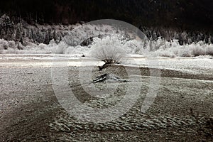 Frozen nature near Garmisch-Partenkirchen, Germany.