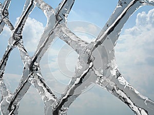 Frozen net