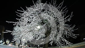 Frozen Nightscapes: Urban Winter Wonderland with Icicle-covered branches