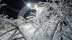 Frozen Nightscapes: Urban Winter Wonderland with Icicle-covered branches