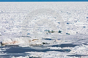 Frozen North Atlantic Ocean ice floes covering sea