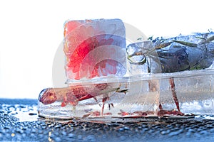 Frozen Objects in Ice Cubes on White Background